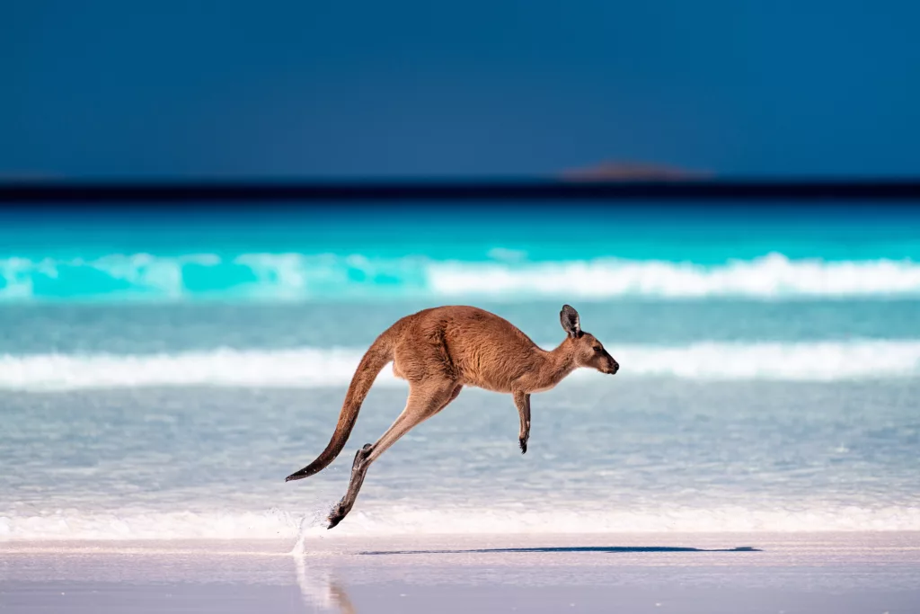 Das Working Holiday Visum ermöglicht 12 Monate Aufenthalt in Australien.